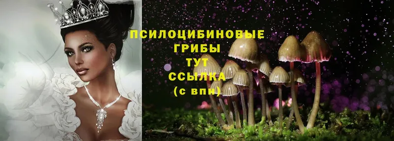 что такое наркотик  Ликино-Дулёво  Галлюциногенные грибы MAGIC MUSHROOMS 